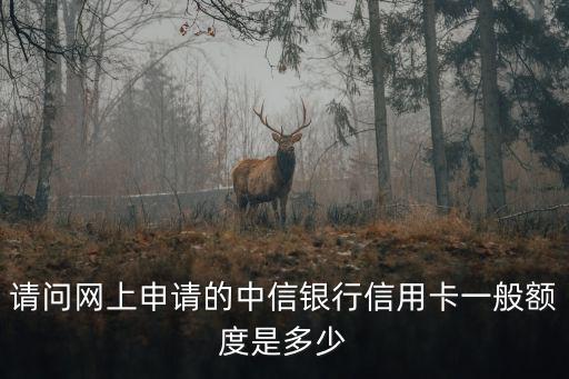 請問網(wǎng)上申請的中信銀行信用卡一般額度是多少