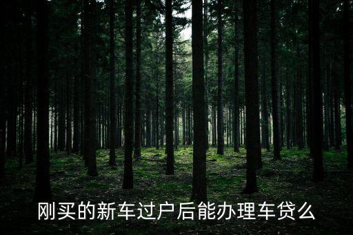剛買的新車過戶后能辦理車貸么