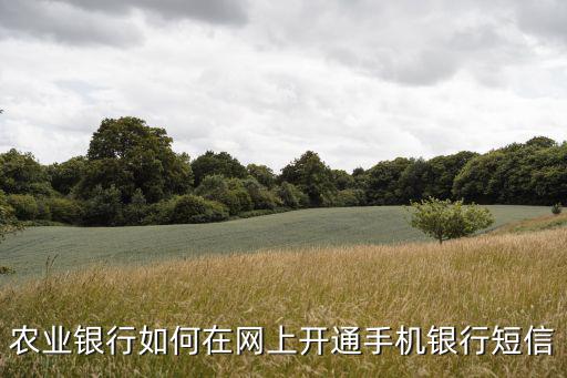 手機網(wǎng)上農(nóng)行銀行怎么開通短信提醒業(yè)務(wù)，怎么在網(wǎng)上開通農(nóng)行卡開通短信提醒業(yè)務(wù)