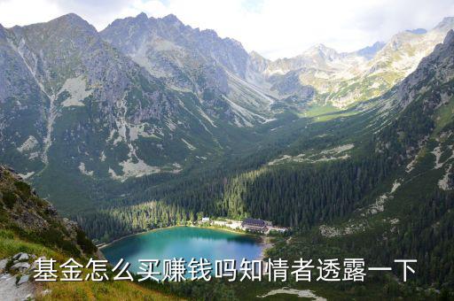 基金怎么買賺錢嗎知情者透露一下