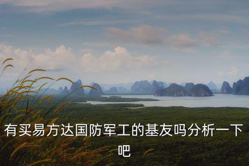 有買易方達國防軍工的基友嗎分析一下吧