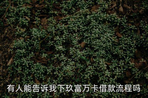 有人能告訴我下玖富萬卡借款流程嗎