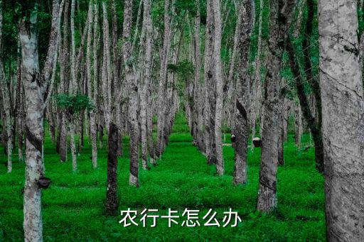 農(nóng)行卡怎么辦
