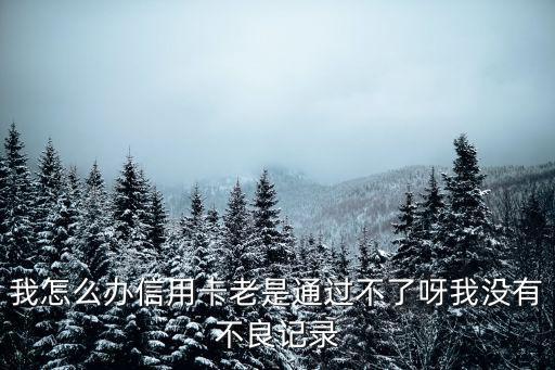 我怎么辦信用卡老是通過不了呀我沒有不良記錄