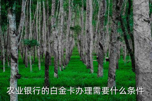 農(nóng)業(yè)銀行的白金卡辦理需要什么條件