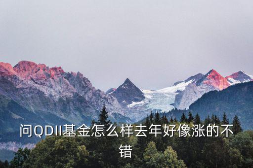問(wèn)QDII基金怎么樣去年好像漲的不錯(cuò)
