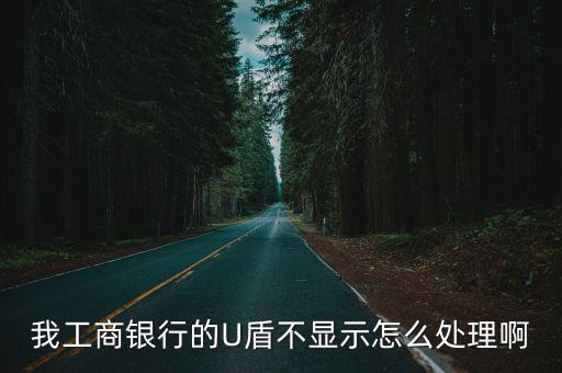 我工商銀行的U盾不顯示怎么處理啊