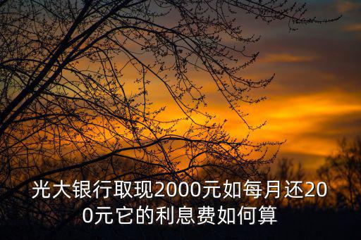 光大銀行取現(xiàn)2000元如每月還200元它的利息費(fèi)如何算