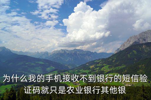 為什么我的手機接收不到銀行的短信驗證碼就只是農(nóng)業(yè)銀行其他銀