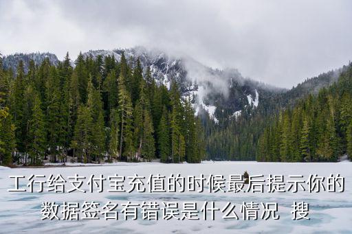 充值簽名錯(cuò)誤怎么辦，支付寶充值顯示數(shù)字簽名錯(cuò)誤