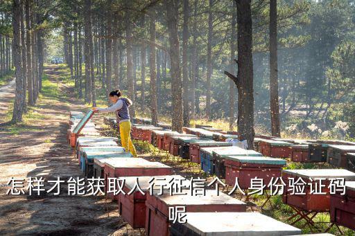 人行怎么驗(yàn)證征信，怎樣才能獲取人行征信個(gè)人身份驗(yàn)證碼呢