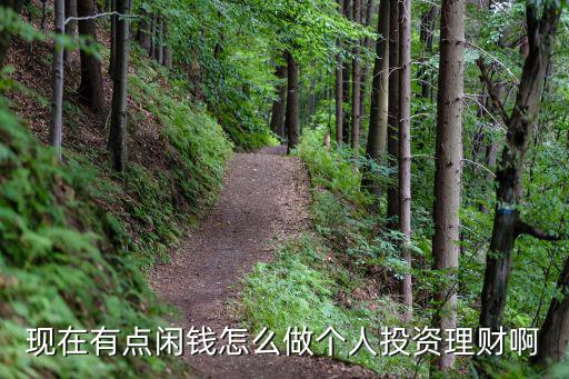 現在有點閑錢怎么做個人投資理財啊