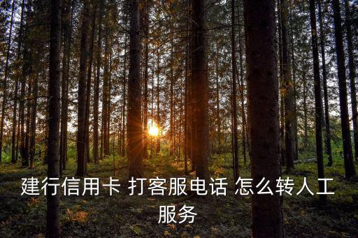 建行信用卡 打客服電話 怎么轉(zhuǎn)人工服務(wù)