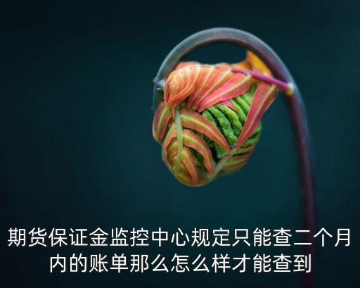 期貨保證金監(jiān)控中心規(guī)定只能查二個月內(nèi)的賬單那么怎么樣才能查到