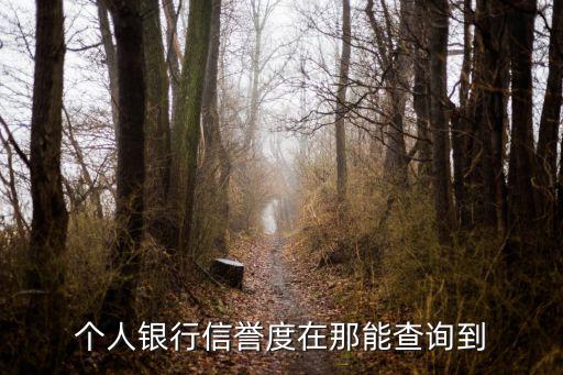 個人銀行信譽度在那能查詢到