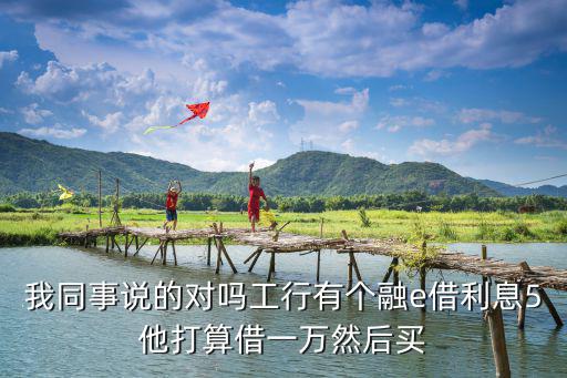 我同事說(shuō)的對(duì)嗎工行有個(gè)融e借利息5他打算借一萬(wàn)然后買