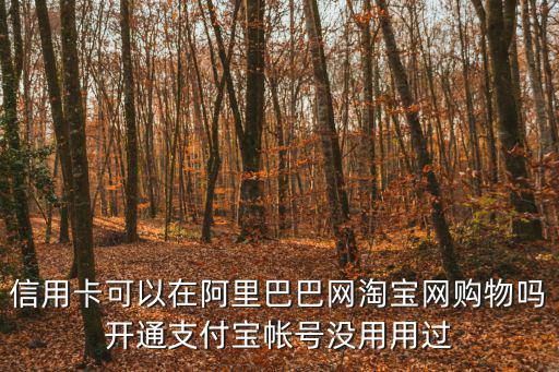 信用卡可以在阿里巴巴網(wǎng)淘寶網(wǎng)購(gòu)物嗎開(kāi)通支付寶帳號(hào)沒(méi)用用過(guò)