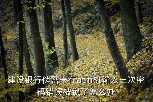 建設(shè)銀行儲(chǔ)蓄卡在atm機(jī)輸入三次密碼錯(cuò)誤被鎖了怎么辦