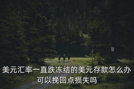 美元匯率一直跌凍結(jié)的美元存款怎么辦可以挽回點(diǎn)損失嗎