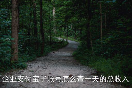 企業(yè)支付寶子賬號怎么查一天的總收入