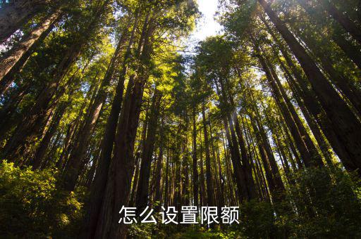 農(nóng)行etc怎么設(shè)置限額，怎么修改中國(guó)農(nóng)行支付限額