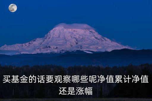買(mǎi)基金的話要觀察哪些呢凈值累計(jì)凈值還是漲幅