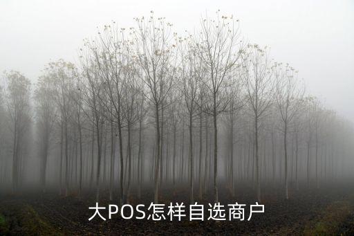 大POS怎樣自選商戶