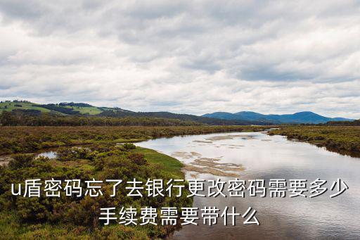 建行u盾怎么重置密碼是多少錢(qián)，建設(shè)銀行網(wǎng)上銀行u盾密碼重新設(shè)置怎么弄