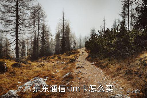 京東鋼G怎么買點(diǎn)卡，怎么在京東買爐石點(diǎn)數(shù)然后沖到戰(zhàn)網(wǎng)