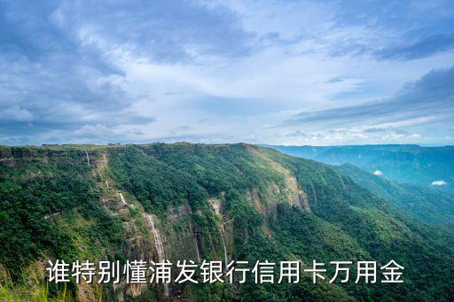 誰特別懂浦發(fā)銀行信用卡萬用金