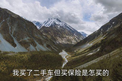 我買了二手車但買保險是怎買的