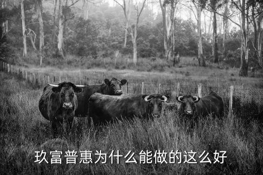 玖富普惠為什么能做的這么好
