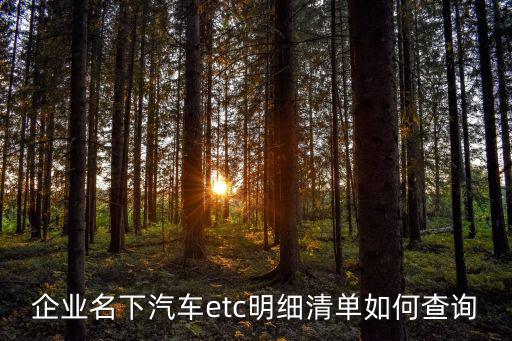企業(yè)名下汽車etc明細(xì)清單如何查詢