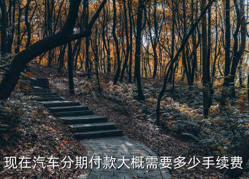 分期付款車手續(xù)費(fèi)怎么算的，分期付款買車手續(xù)費(fèi)怎么算
