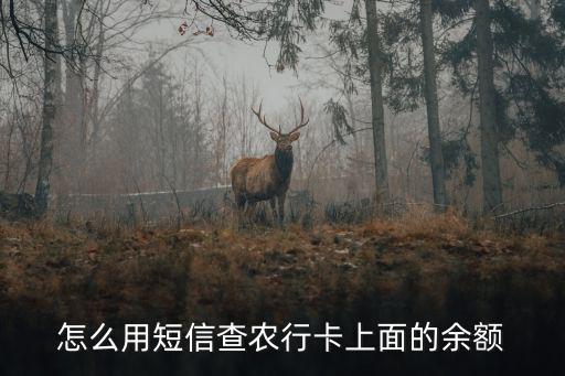 怎么用短信查農(nóng)行卡上面的余額