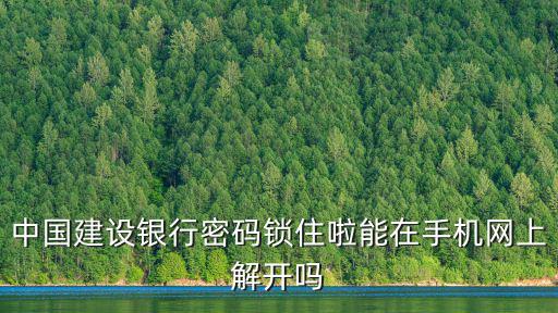中國(guó)建設(shè)銀行密碼鎖住啦能在手機(jī)網(wǎng)上解開嗎