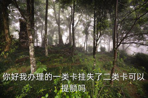 你好我辦理的一類卡掛失了二類卡可以提額嗎