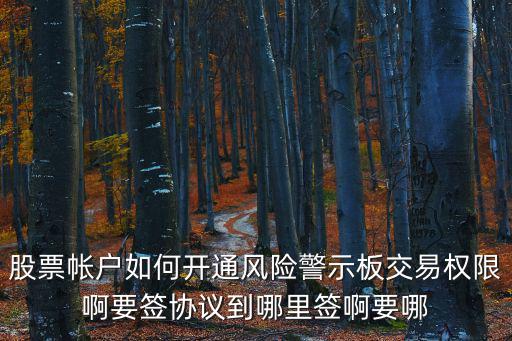 股票帳戶如何開通風險警示板交易權限啊要簽協(xié)議到哪里簽啊要哪