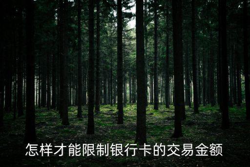 儲(chǔ)蓄卡怎么限制只能去，怎么樣才能限制銀行卡里的錢(qián)每個(gè)月只能花兩百