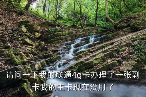主卡不用副卡會(huì)怎么樣，招行信用卡分主卡和副卡我只開(kāi)通主卡不需要副卡那這樣的話副卡