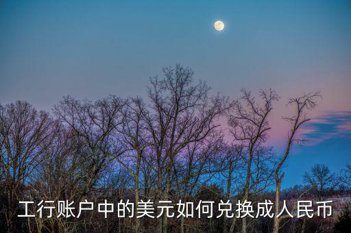 工行賬戶中的美元如何兌換成人民幣