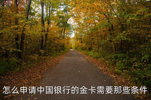 怎么申請(qǐng)中國(guó)銀行的金卡需要那些條件