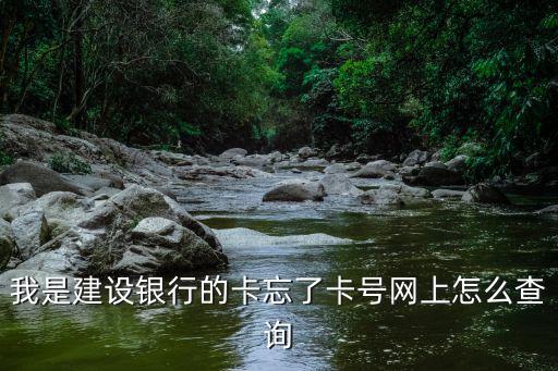 我是建設銀行的卡忘了卡號網(wǎng)上怎么查詢