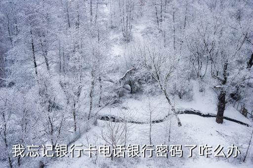 我忘記銀行卡電話銀行密碼了咋么辦