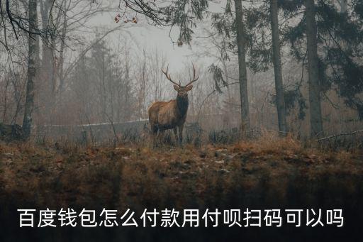 百度錢包怎么付款用付唄掃碼可以嗎