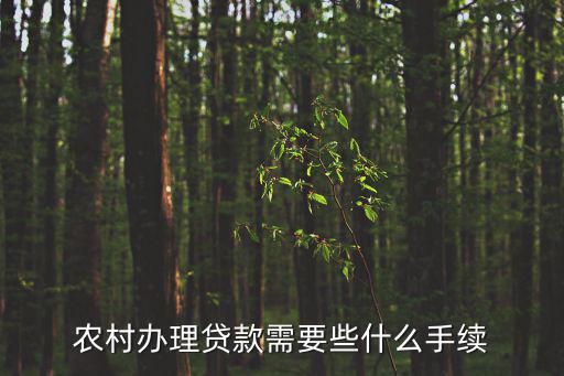 農(nóng)村辦理貸款需要些什么手續(xù)