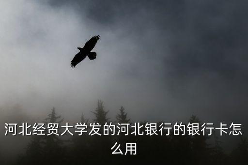 河北銀行借記卡怎么用，河北經(jīng)貿(mào)大學(xué)發(fā)的河北銀行的銀行卡怎么用