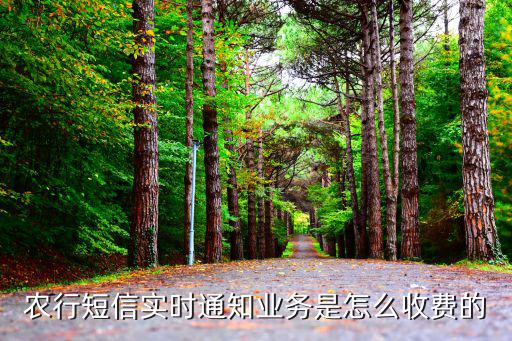 農(nóng)行短信實(shí)時(shí)通知業(yè)務(wù)是怎么收費(fèi)的
