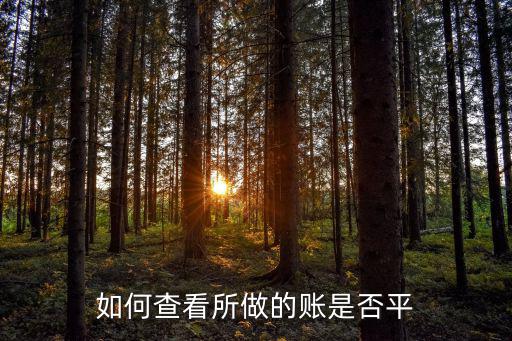 如何查看所做的賬是否平