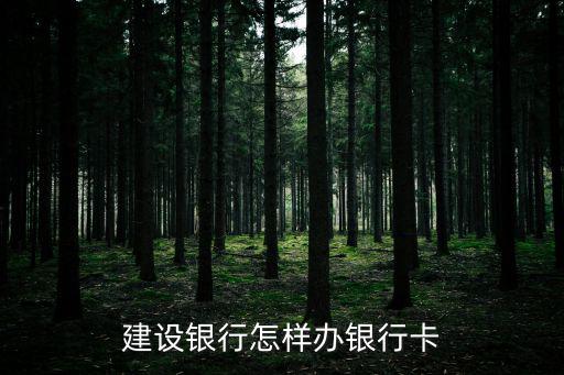 建設(shè)銀行怎樣辦銀行卡